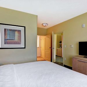 One-Bedroom King Suite Sofa Bed